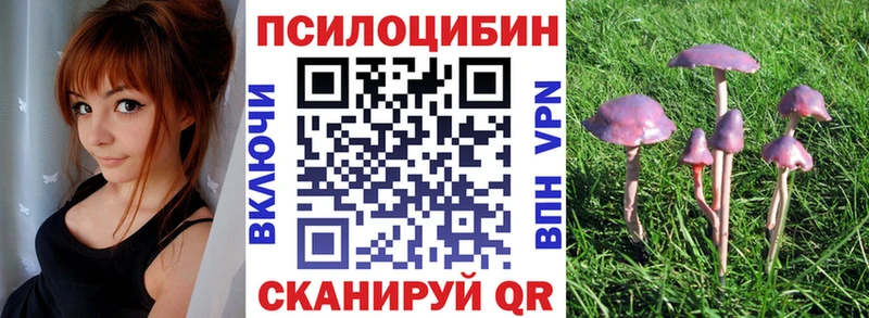 купить наркоту  Воронеж  Псилоцибиновые грибы мухоморы 