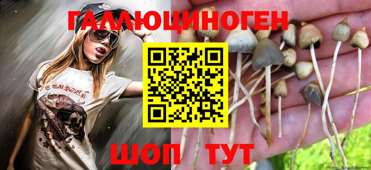 Псилоцибиновые грибы Magic Shrooms  Вход с VPN  Псилоцибиновые грибы Cubensis  Воронеж 